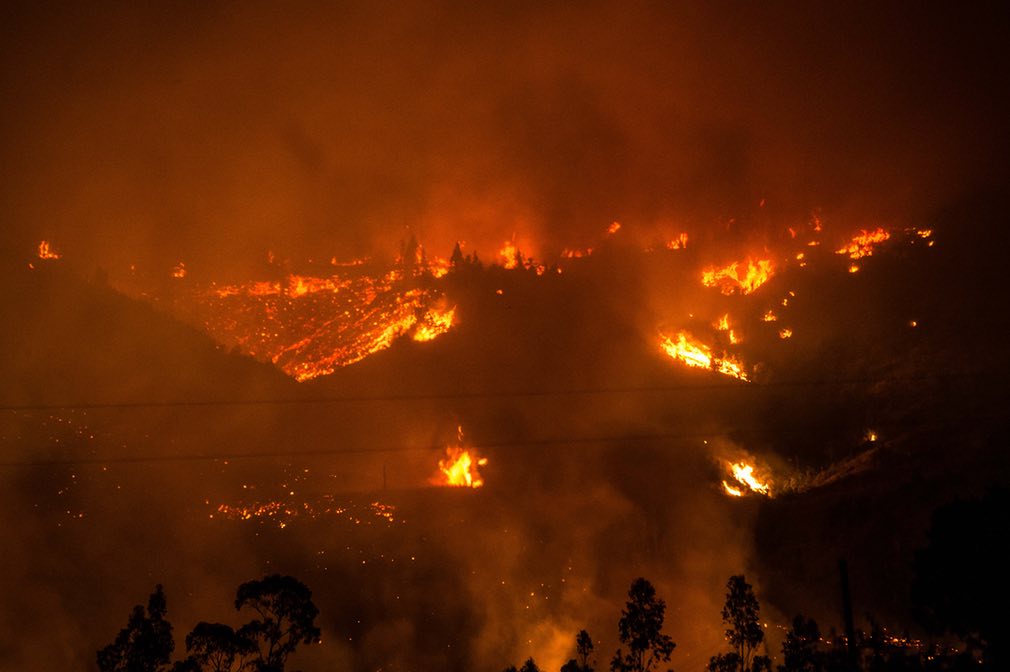 Kebakaran Hutan Terburuk dalam Sejarah Chile dan Kesan Harga Pulpa Fluff