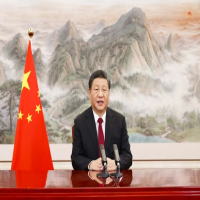 Xi menyeru langkah bersama ke arah pemulihan, kestabilan kewangan