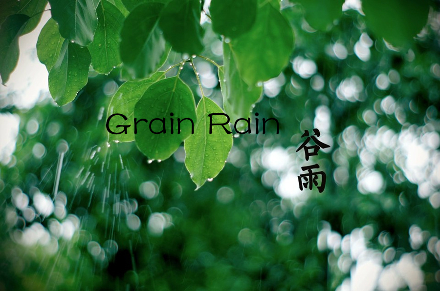 Culture Insider: Lima perkara yang anda mungkin tidak tahu tentang Grain Rain